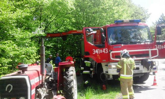 Ucieczka krowy zakończyła się nieszczęśliwym wypadkiem