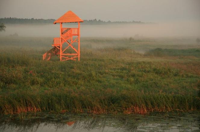 Kładka Śliwno-Waniewo. Niezwykła atrakcja pod Białymstokiem