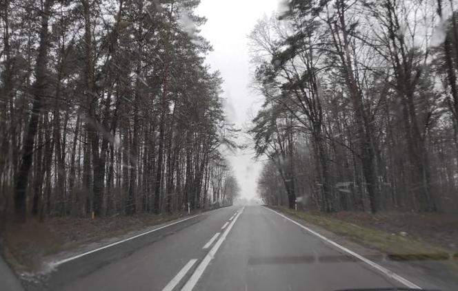 Pogodowy armagedon w woj. pomorskim. IMGW ostrzega