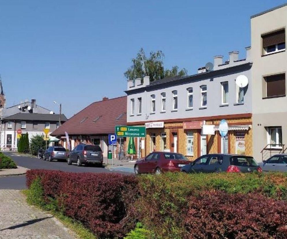 Zaniemyśl