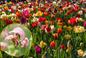 Co robić z tulipanami, gdy przekwitną? Czy obciąć? Wykopać?