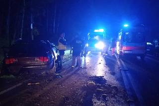 Wypadek na DK 79 między Luszycą i Strużkami