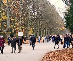 1 listopada na Cmentarzu Centralnym w Szczecinie