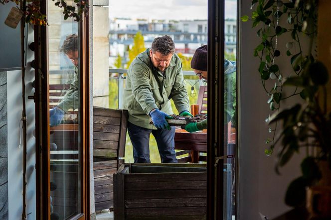 Jesienna metamorfoza balkonu