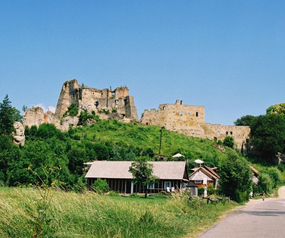 W tej wsi na Podkarpaciu w setną rocznicę insurekcji wystawiono pomnik Tadeusza Kościuszki. Stanął wśród ruin zamku