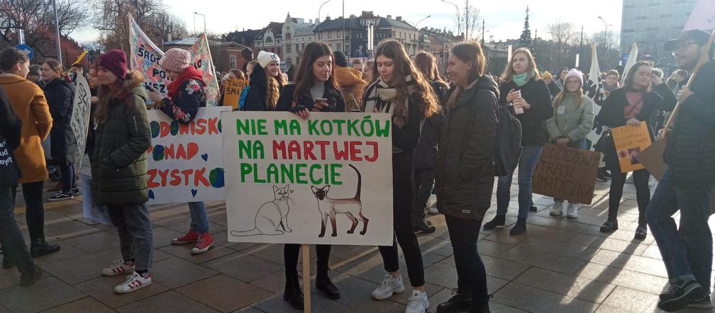 Wielki protest w Krakowie. Strajkowali w obronie klimatu 