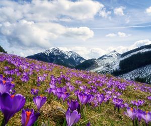 To najładniejsza wieś w Małopolsce