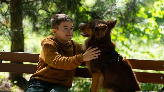 Barwy szczęścia odc. 3107. Ksawery (Bartosz Gruchot)