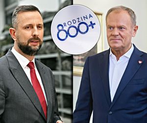 800 plus tylko dla pracujących?