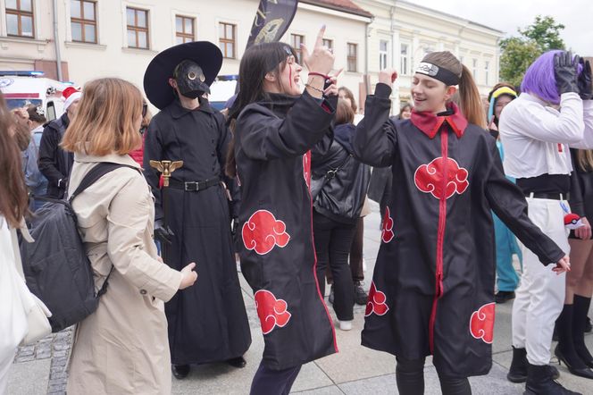 Juwenalia 2025 w Kielcach. Korowód studentów