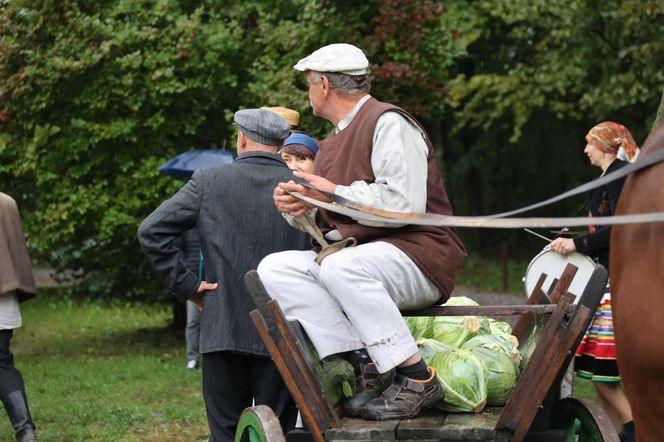 Tak ongiś siekano kapustę w woj. lubelskim. „Obieraczki kapuściane” w Muzeum Wsi Lubelskiej