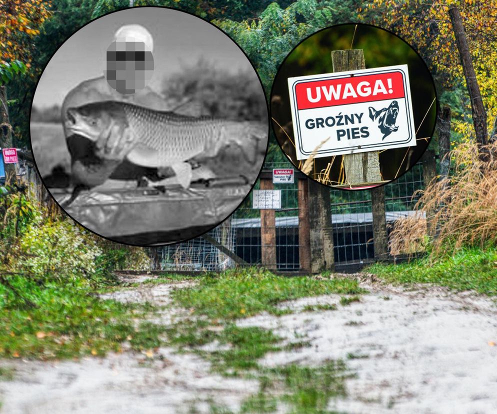 Dobry, serdeczny. Puławy pogrążone w żałobie. W poniedziałek pogrzeb pana Marcina, którego zagryzły psy