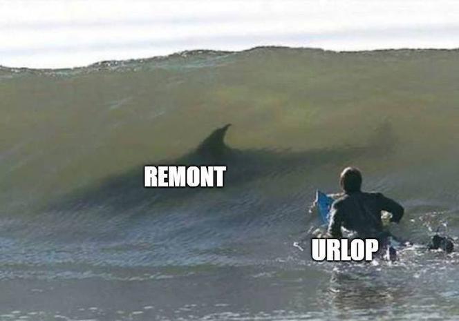 Urlop: memy