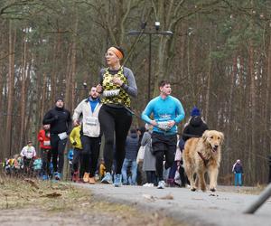 Rekordowy bieg City Trail w bydgoskim Myślęcinku [ZDJĘCIA]