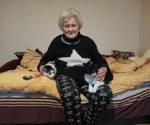 Niesamowity Koci Dom niezwykłej 80-latki. Pani Józefa o każdego zwierzaka dba osobiście
