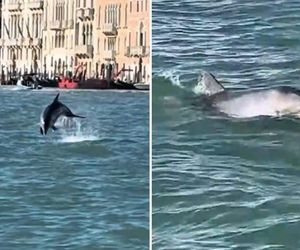 Szok w Wenecji! Ludzie chwycili za telefony i patrzyli na wodę