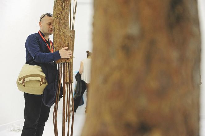 Wystawa polska - nagroda za dźwięk