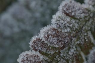 SZKLANKA na drogach i nie tylko. We wtorek zima da nam ostro w kość [PROGNOZA POGODY 15.12.2020]