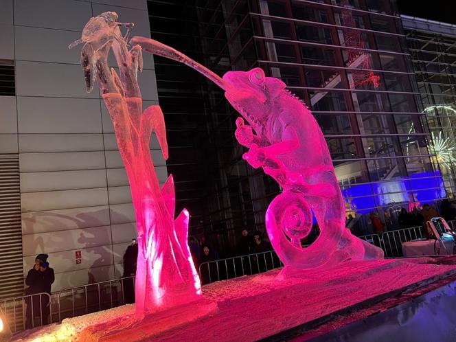 Trzeci dzień Poznań Ice Festival 2022