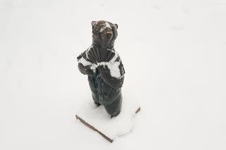 Figurki WidziMisie w zimowej odsłonie. Zobacz białostocką atrakcję [GALERIA]