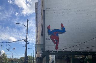 Międzynarodowy Dzień Postaci z Bajek. Wyjątkowe murale zdobią Poznań