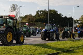 Gorzów: Rolnicy protestowali na Rondzie Gdańskim przeciwko Piątce dla zwierząt