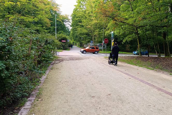 Usterki na Alei Fałata