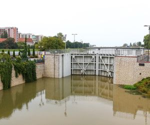 Powódź w Opolu. Stan Odry w środę, 18.09.2024 