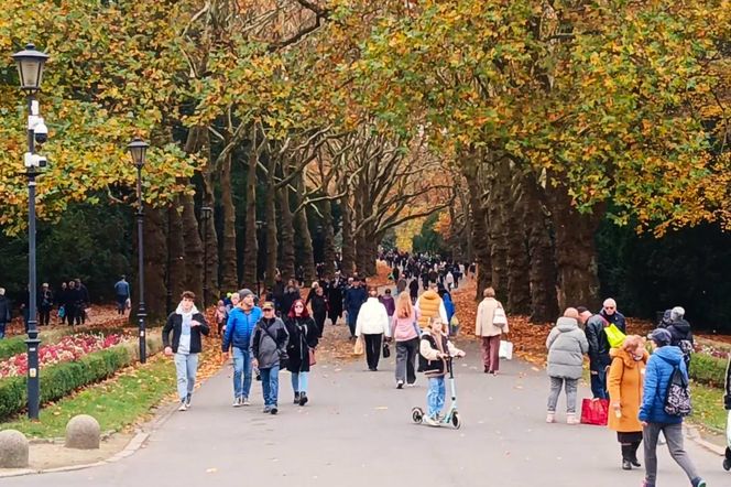 1 listopada na Cmentarzu Centralnym w Szczecinie