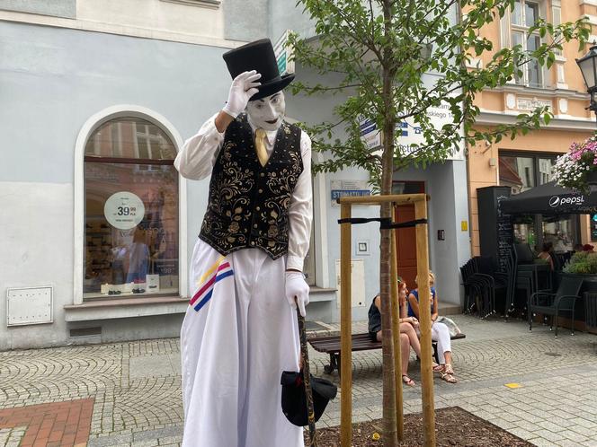 Busker Tour2023 zawitał do Zielonej Góry. Mamy zdjęcia z tego wydarzenia. Oto jak wyglądał pierwszy dzień 