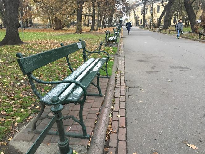 Pierwszy śnieg i mróz w Krakowie. Jaka będzie pogoda w najbliższych dniach? [ZDJĘCIA, PROGNOZA POGODY]