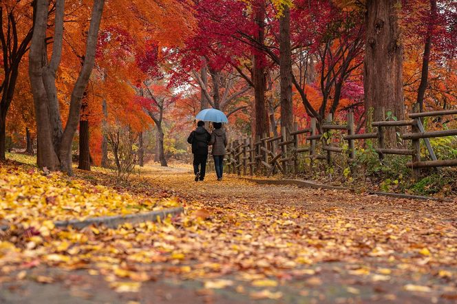 Temperatura w dzień was zaskoczy. Synoptycy przestrzegają jednak przed tym [Prognoza IMGW na 18.10.2024] 