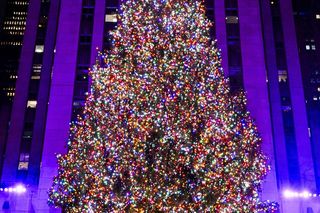 Najsłynniejsza choinka świata już zachwyca na Manhattanie