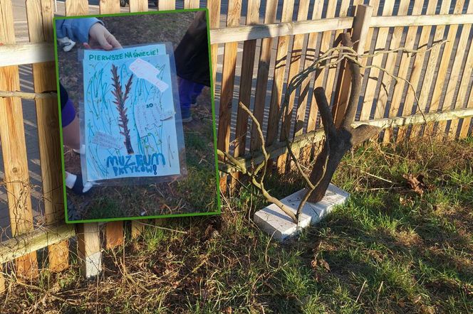 Muzeum Patyka w Toruniu