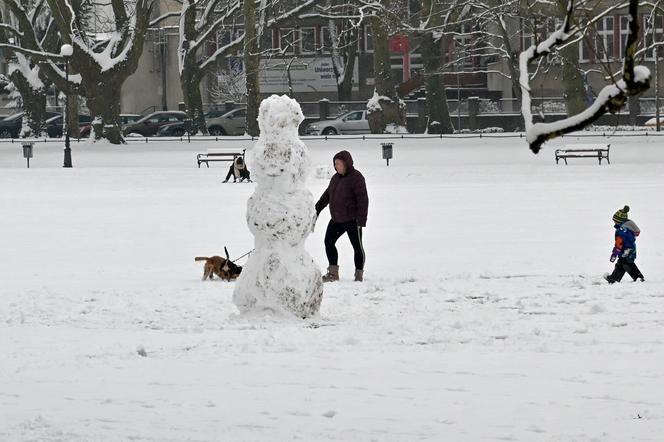 Śnieżny Szczecin 