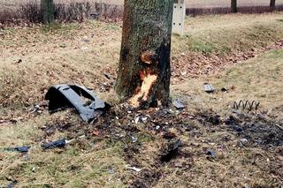 Tragedia pod Cybinką. Nie żyje pracownik Poczty Polskiej. Zginął na miejscu po uderzeniu w drzewo