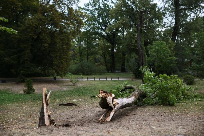 Park wilanowski zamknięty po burzy w Warszawie