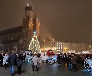Choinka na Rynku Głównym w Krakowie
