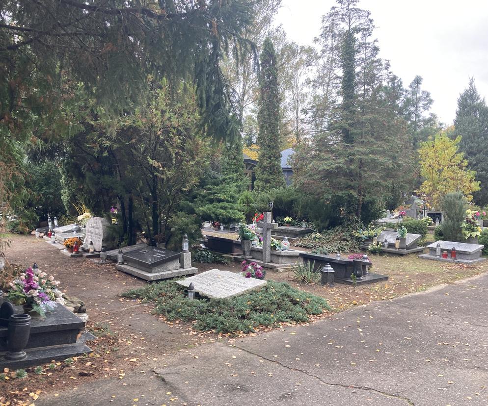 Zmiany w organizacji ruchu w okresie Wszystkich Świętych przy poznańskich cmentarzach