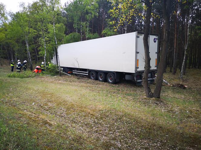Wypadek na DK 10 w Solcu Kujawskim [ZDJĘCIA]