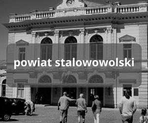 Te regiony na Podkarpaciu straciły najwięcej mieszkańców 