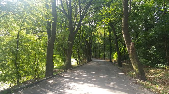 Park Zamkowy i Promenada w Mysłowicach