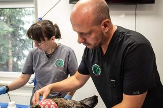 Fundacja Ada walczy o byt