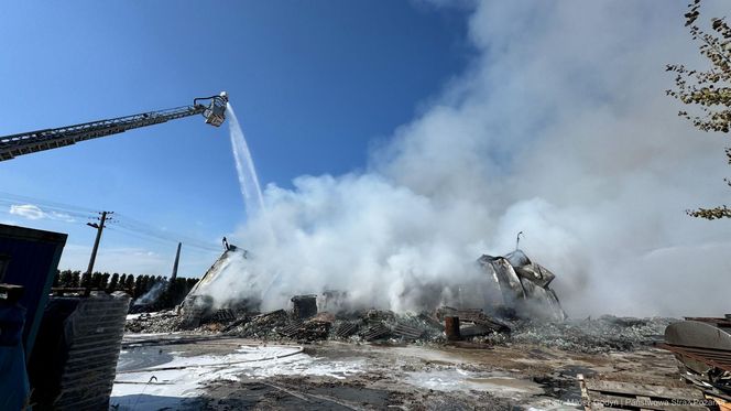 Pożar hali przemysłowej hurtowni zniczy przy ulicy Dojazd w Tarnowie