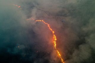 Pożar w Biebrzańskim Parku Narodowym. PSP: sytuacja się stabilizuje, ale zagrożenie wciąż realne [ZDJĘCIA]