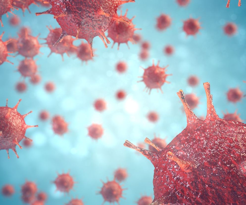 Wirus HIV daje objawy po 2-3 tygodniach od zakażenia, a następnie przechodzi w postać utajoną.
