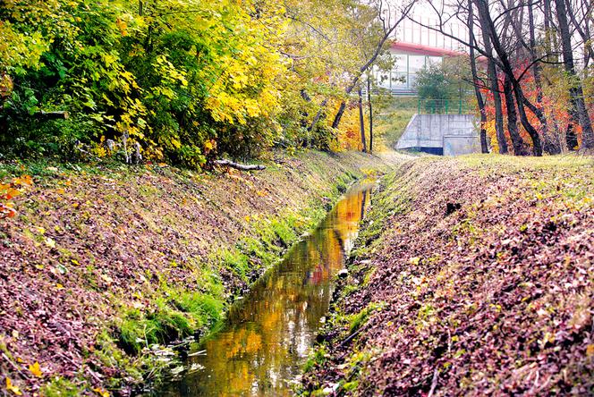 Makabryczna zbrodnia na Ursynowie