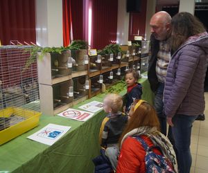 Ptaki egzotyczne opanowały Bydgoszcz. Były na wyciągnięcie ręki!