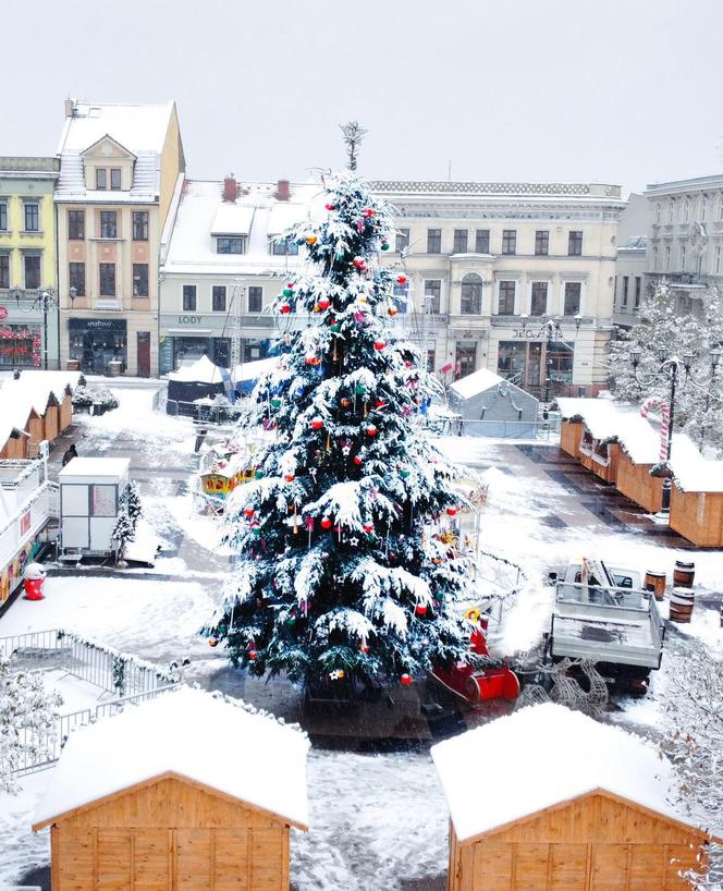 Drzewko świąteczne na rynku w Rybniku