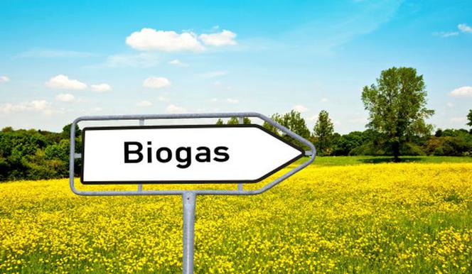 biogaz oze